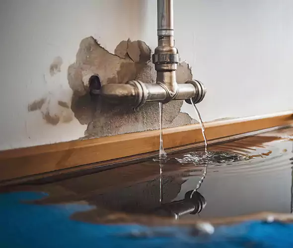 Professional Water Damage Restoration Experts in Pacifica, CA — Fast, Reliable & Certified
