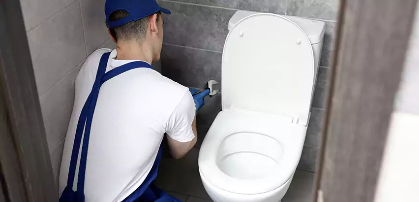 Toilet Lid Replacement in Pacifica