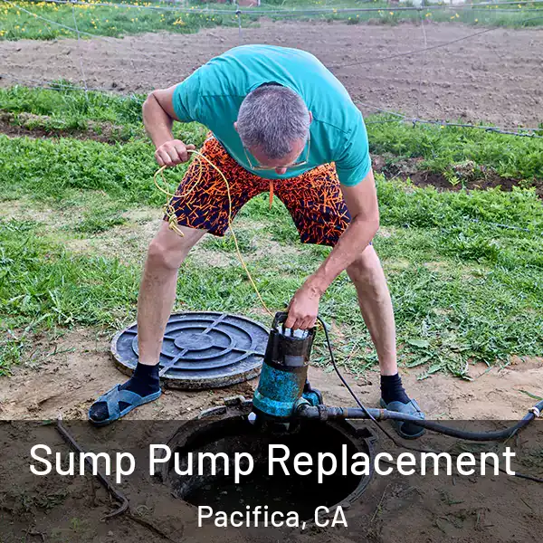  Sump Pump Replacement Pacifica, CA